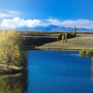 Meet your Posher, Dorothy